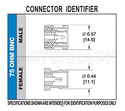 75 Ohm BNC Male Connector Crimp/Crimp Attachment for RG59B/U, RG62, RG71